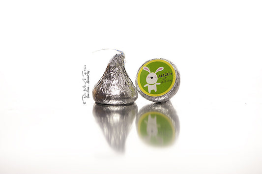 Benny the Bunny Hershey's Kisses