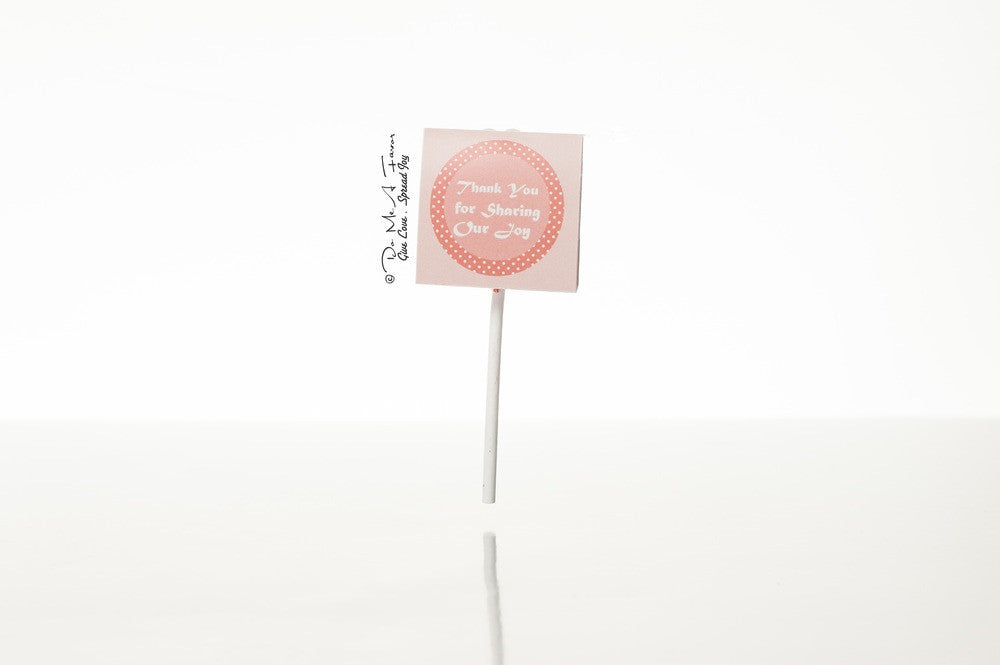 B is for Baby Organic Lollipops